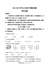 泰安市泰山区泰山实验中学2022年九年级第二学期第二次次模拟考试数学试题和答案