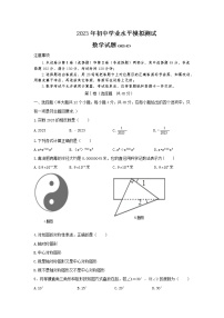 泰安市泰山实验中学2023年初中学业水平数学模拟测试 数学试题