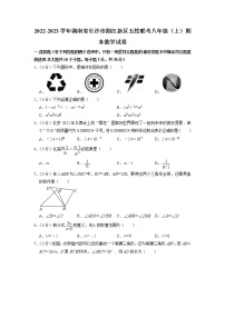 湖南省长沙市湘江新区五校联考2022-2023学年八年级上学期期末数学试卷