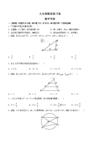 辽宁省大连市甘井子区2022-2023学年九年级上学期期末数学试题(含答案)