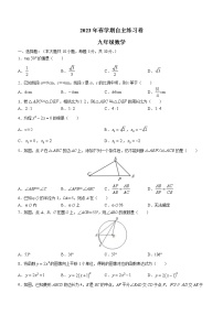 江苏省无锡市梁溪区侨谊教育集团2022-2023学年九年级下学期期末数学试题(含答案)