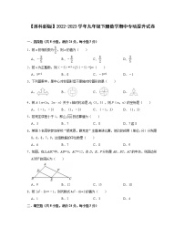 【苏科新版】2022-2023学年九年级下册数学期中专项提升试卷（含解析）