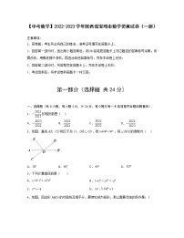 【中考数学】2022-2023学年陕西省宝鸡市数学仿真试卷（一测）无答案