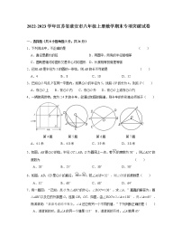 2022-2023学年江苏省淮安市八年级上册数学期末专项突破试卷（无答案）