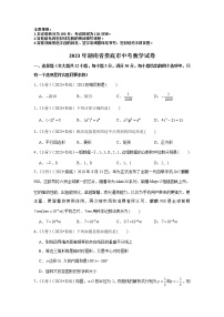 2023年湖南省娄底市中考数学模拟试题及答案