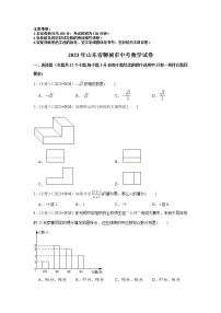 2023年山东省聊城市中考数学模拟试题及答案