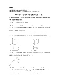 2023年山东省淄博市中考数学模拟试题（a卷）及答案