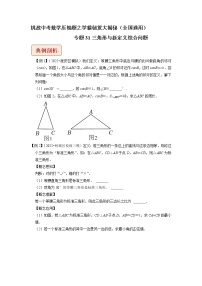 专题31三角形与新定义综合问题-挑战中考数学压轴题之学霸秘笈大揭秘（全国通用）