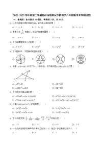 广东省惠州市惠阳区沙田中学2022-2023学年八年级下学期3月月考数学试题(含答案)