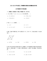 广东省揭阳市揭西县棉湖镇实验学校2022-2023学年九年级下学期3月月考数学试题(含答案)