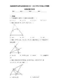 安徽省蚌埠市怀远县城关镇2022－2023学年八年级上学期期末测试数学试卷（含详细答案）