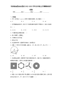 甘肃省金昌市永昌县2022-2023学年九年级上学期期末数学试题（含详细答案）