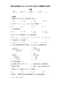 黑龙江省讷河市2022-2023学年七年级上学期期末考试数学试题（含详细答案）