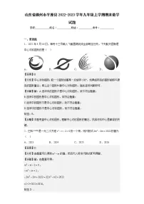 山东省德州市平原县2022-2023学年九年级上学期期末数学试题(含详细答案)
