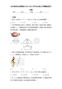 山东省菏泽市鄄城县2022-2023学年九年级上学期期末数学试题（含详细答案）