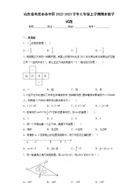 山东省枣庄市市中区2022-2023学年七年级上学期期末数学试题(含详细答案)