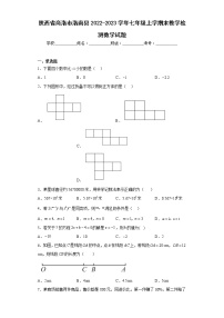 陕西省商洛市洛南县2022-2023学年七年级上学期末教学检测数学试题（含详细答案）