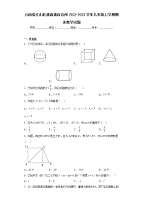 云南省文山壮族苗族自治州2022-2023学年九年级上学期期末数学试题（含详细答案）