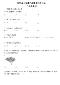 湖南省益阳市安化县小淹镇三校2022-2023学年八年级上学期期末联考评估数学试卷(含答案)