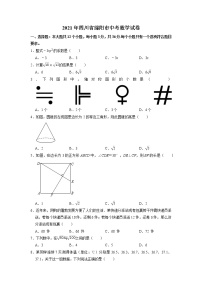 2021年四川省绵阳市中考数学真题（Word版，含答案）