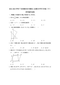 2022-2023学年广东省梅州市丰顺县三友联合中学八年级（下）开学数学试卷(解析版)