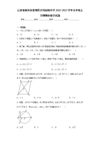 江苏省泰州市姜堰区大冯初级中学2022-2023学年九年级上学期期末数学试题（含答案）