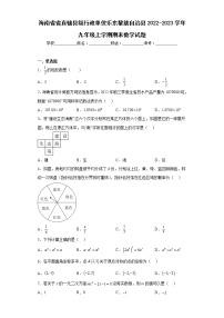 海南省省直辖县级行政单位乐东黎族自治县2022-2023学年九年级上学期期末数学试题（含详细答案）