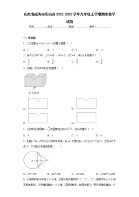 山东省威海市乳山市2022-2023学年九年级上学期期末数学试题（含详细答案）