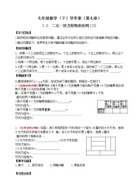 鲁教版 (五四制)七年级下册1 二元一次方程组第3课时导学案及答案