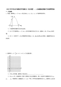 2023年中考九年级数学重难点专项练习（综合题）：二次函数的图象与性质附答案