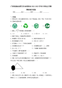 广西壮族自治区百色市靖西市2022-2023学年八年级上学期期末数学试题（含详细答案）