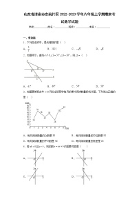 山东省济南市东南片区2022-2023学年八年级上学期期末考试数学试题（含详细答案）