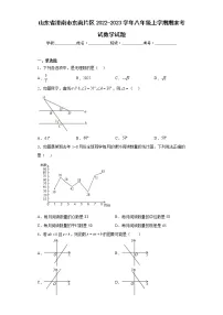 山东省济南市东南片区2022-2023学年八年级上学期期末考试数学试题(含详细答案)