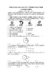 云南省昆明市呈贡区2022-2023学年九年级上学期期末数学试题