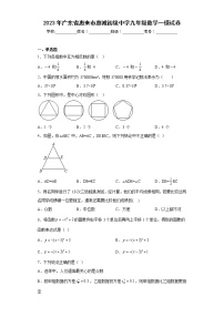 2023年广东省惠来市惠城初级中学九年级数学一模试卷（含答案）