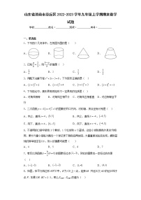 山东省济南市章丘区2022-2023学年九年级上学期期末数学试题（含答案）