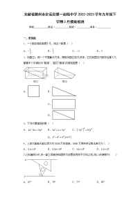 安徽省滁州市定远县第一初级中学2022-2023学年九年级下学期3月摸底检测（含答案）