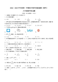 海南省省直辖县级行政单位琼海市2022-2023学年八年级上学期期末数学试题（含答案）