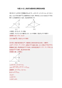 中考数学二轮压轴培优专题24以三角形为载体的几何综合问题（教师版）