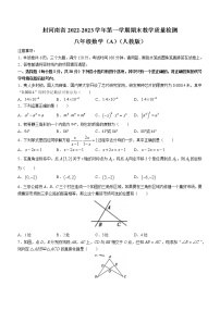 河南省安阳市林州市第七中学2022-2023学年八年级上学期期末数学试题（含答案）