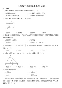 河南省洛阳市西工区2023年七年级下学期期中数学试卷【含答案】