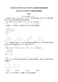 四川省达州市开江县2022-2023学年九年级上学期期末数学试题（含答案）