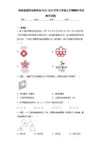 河南省漯河市舞阳县2022-2023学年八年级上学期期中考试数学试题（含答案）