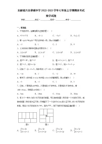 安徽省六安皋城中学2022-2023学年七年级上学期期末考试数学试题（含详细答案）