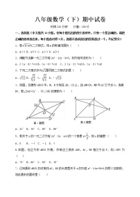 泰山区泰山实验中学2023年八年级第二学期八年级下学期期中试题和答案