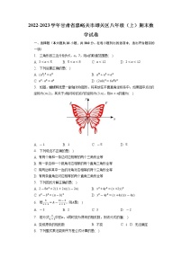 甘肃省嘉峪关市雄关区2022-2023学年八年级上学期期末数学试卷