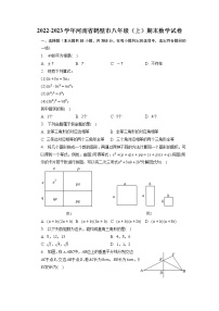 河南省鹤壁市2022-2023学年八年级上学期期末数学试卷