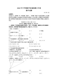 四川省乐山市峨边彝族自治县2022-2023学年八年级上学期期末数学试题