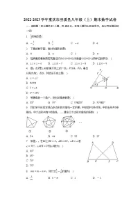 重庆市巫溪县2022-2023学年八年级上学期期末数学试卷