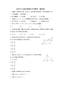 2023年上海市崇明区中考数学一模试卷（含解析）